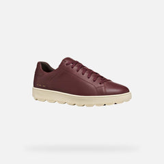 GEOX CHAUSSURES HOMME