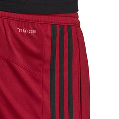 ADIDAS Short Homme