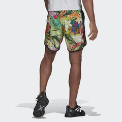 ADIDAS Short Homme