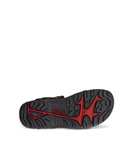 ECCO SANDAL HOMME