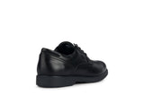 GEOX CHAUSSURES HOMME