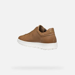 GEOX CHAUSSURE HOMME