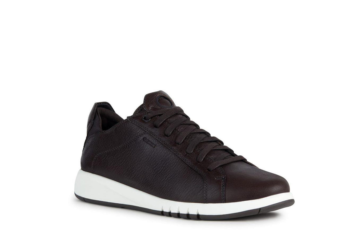 GEOX Chaussure Homme