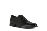 GEOX Chaussure Homme