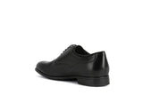 GEOX Chaussure Homme