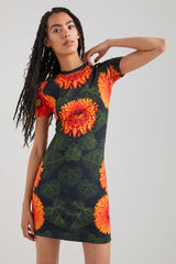 Desigual Robe Femme