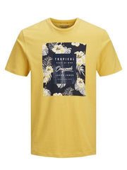 Jack&Jones T-Shirt Homme
