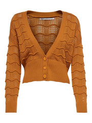 Only Cardigan Femme
