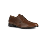 GEOX Chaussure Homme
