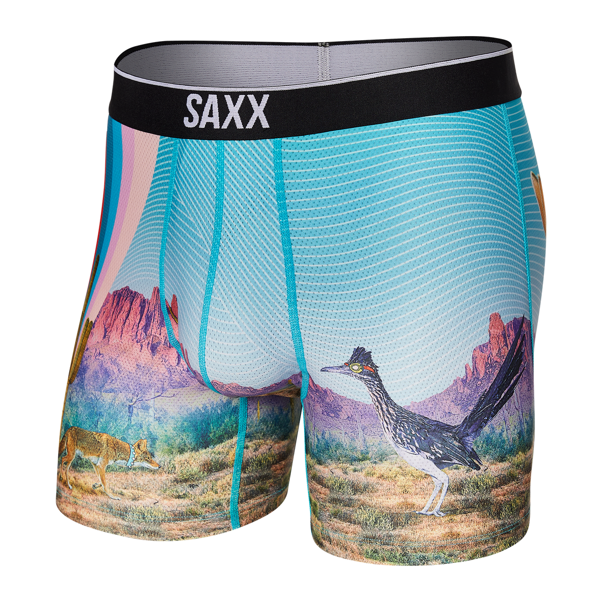 Saxx Boxer Volt Homme