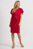 Joseph Ribkoff robe